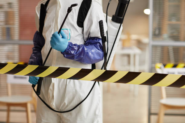 Professional Sewage Cleanup technician working in Clearwater, SC